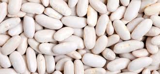 Bean - ONE GOLDEN LION CO.,LTD 